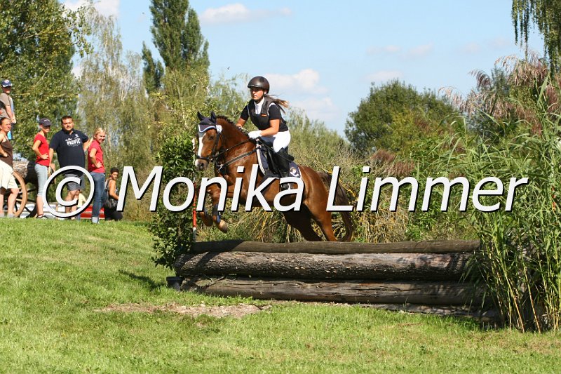 109M7647_Rasputin_Ponystilgelaende E.JPG